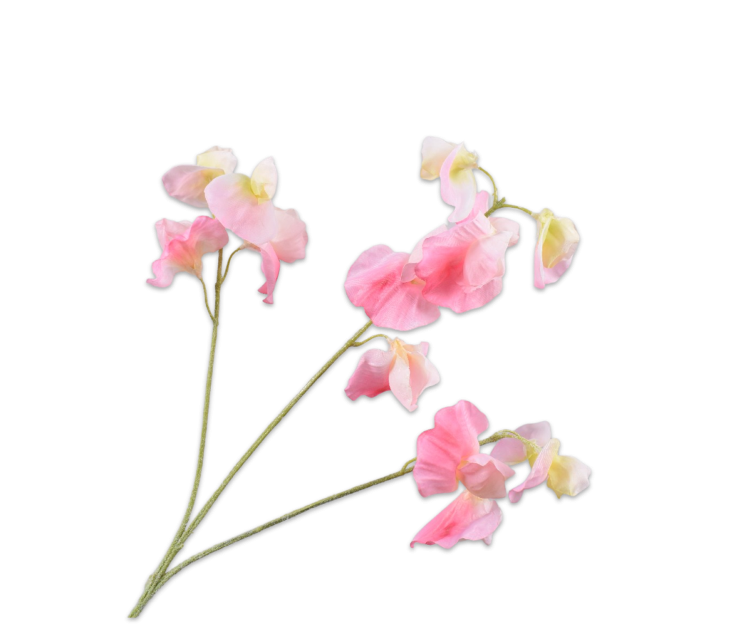 Silk-ka Lathyrus Spray Pnk/Cr 66 Cm