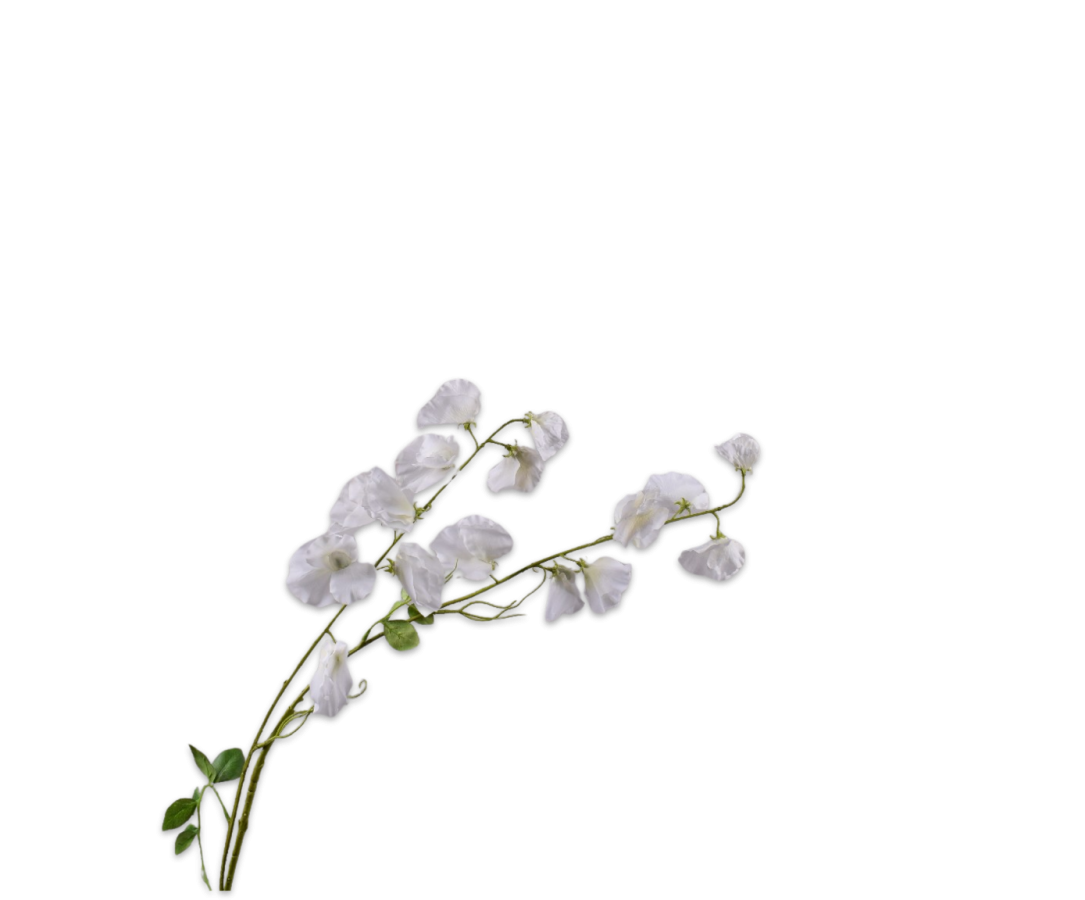 Silk-ka Lathyrus Spray Cream Rt 121 Cm