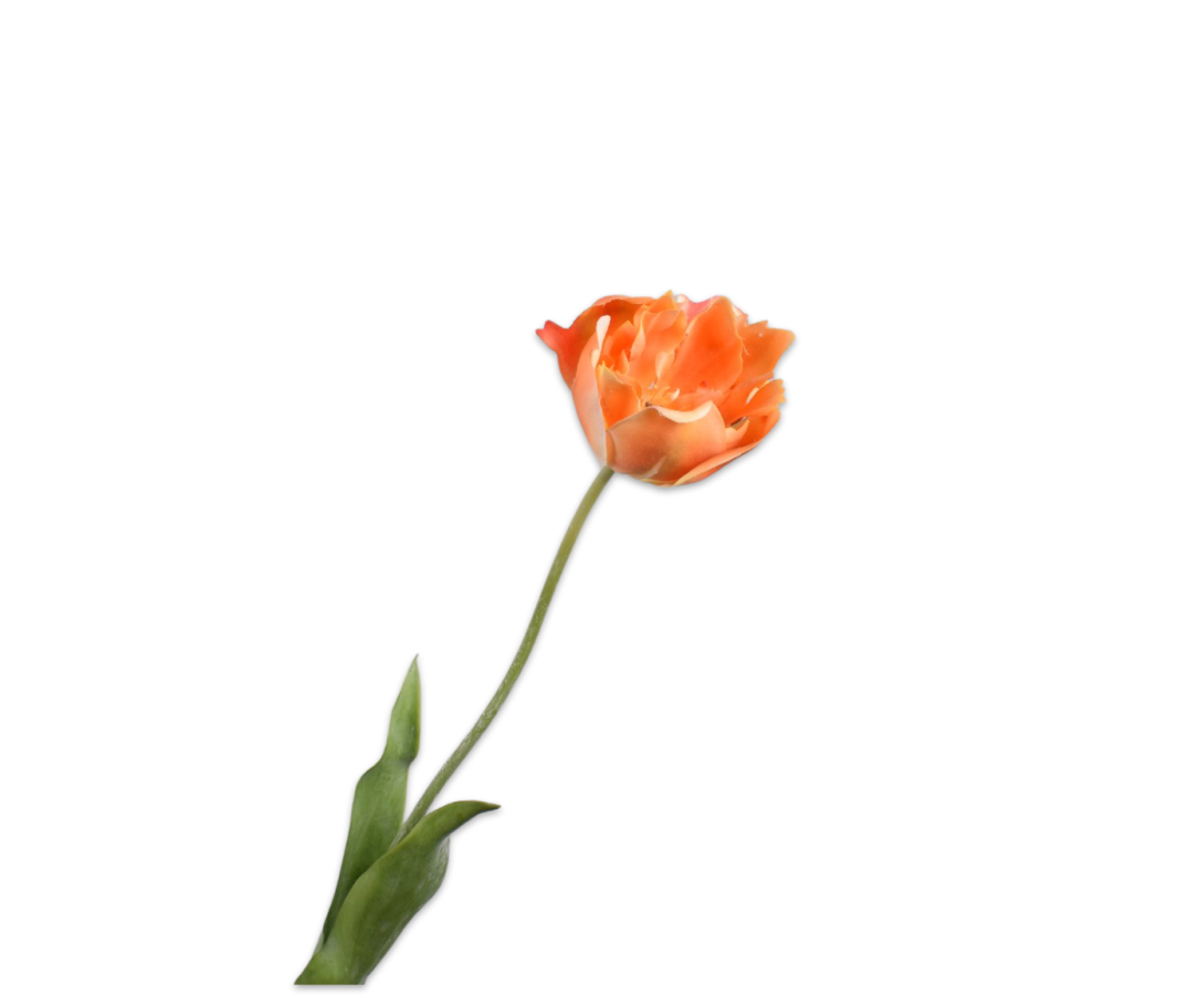 Silk-ka Tulip Stem Orange Rt 72 Cm