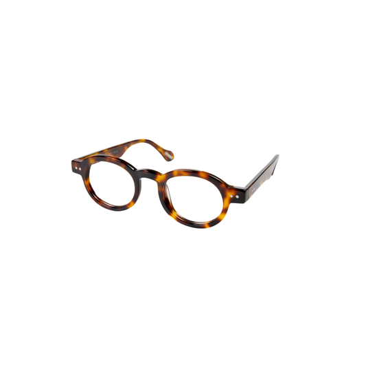 Frank and Lucie Eyeball Turtle Shade