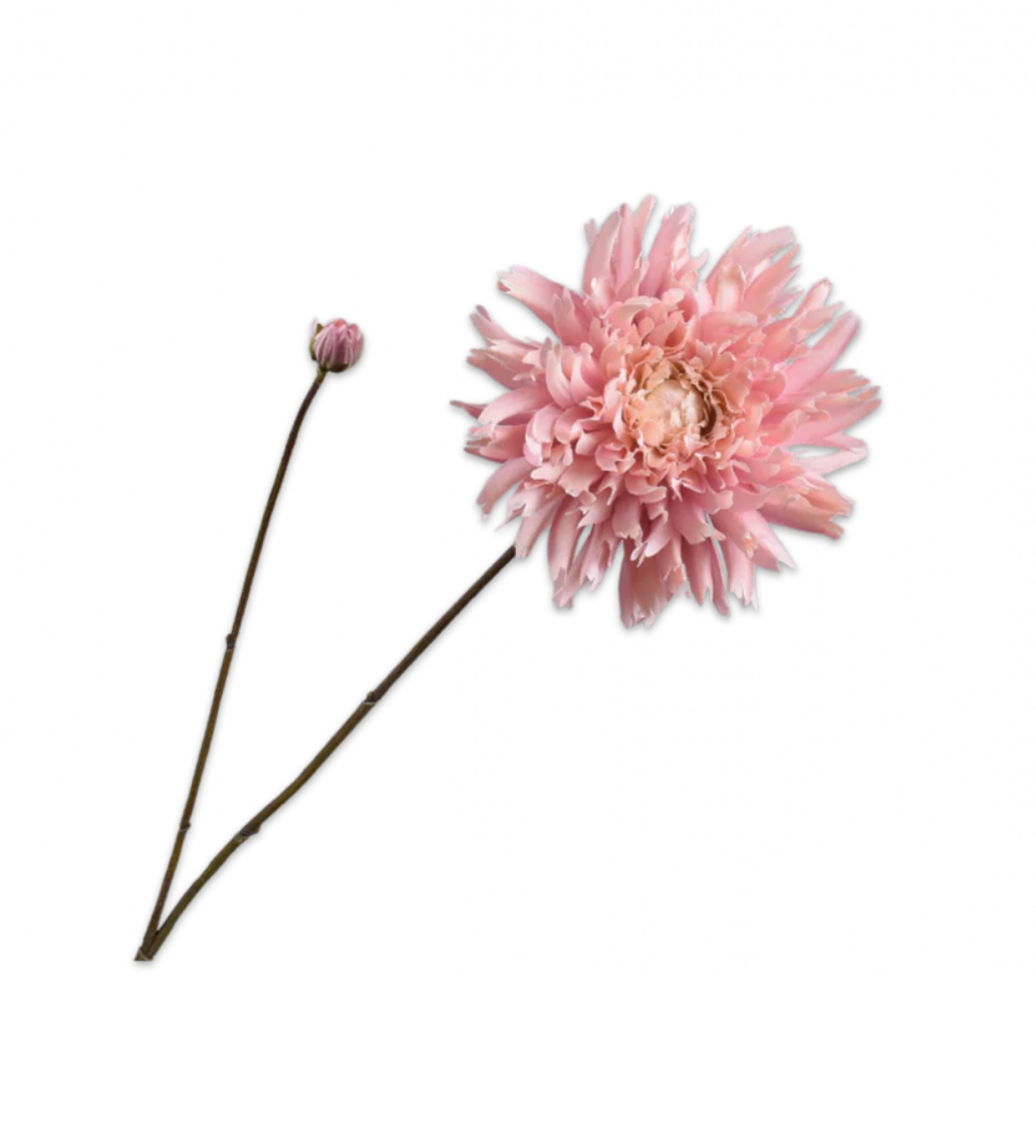 Silk-ka chrysanthemum spray in cream and pink, 101 cm