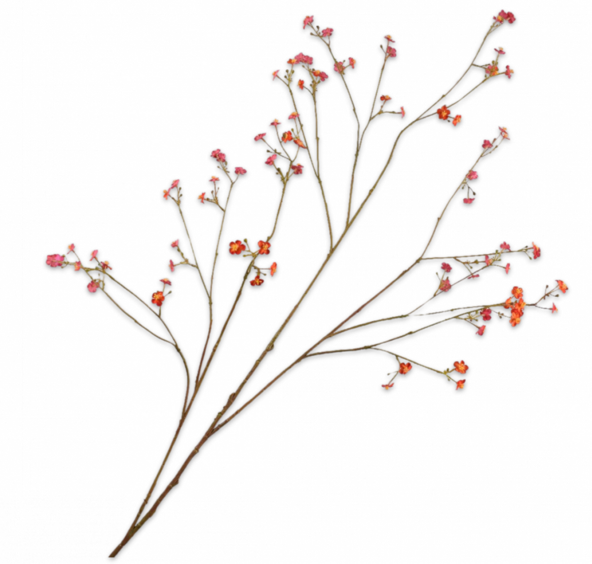 Silk-ka forget-me-not spray in red and orange, 132 cm