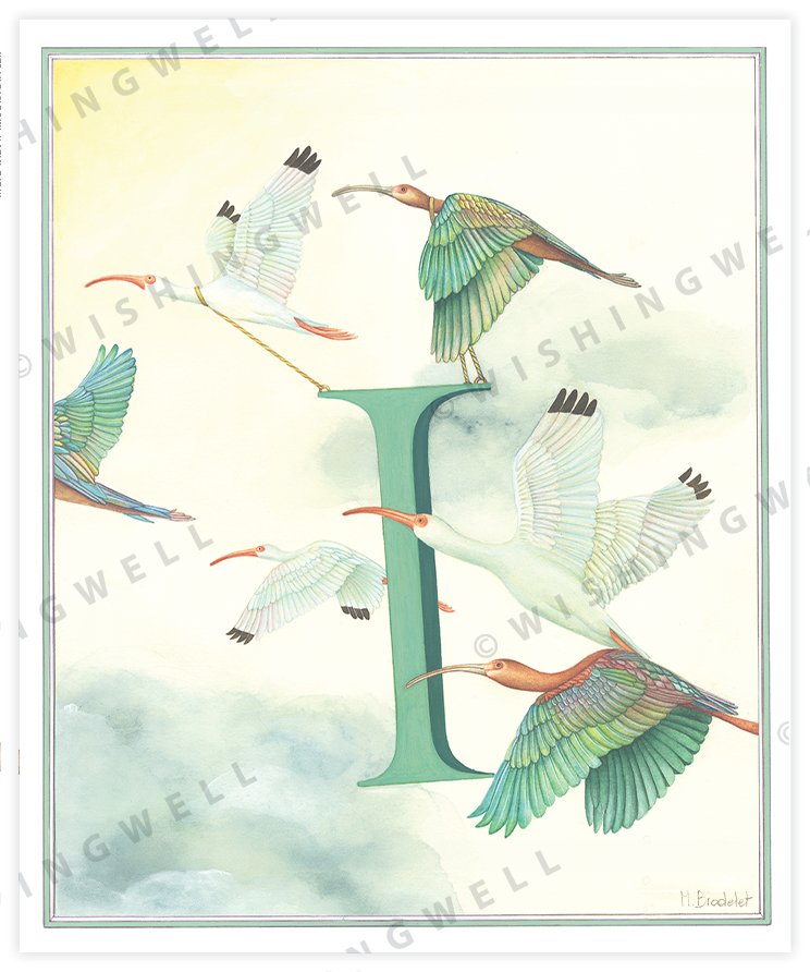Wishing Well Alphabet Little Greeting Card