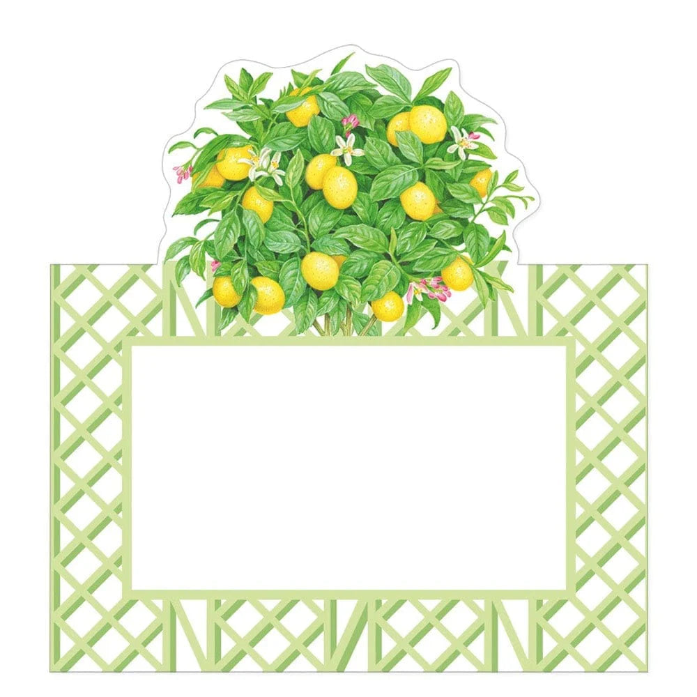 Caspari Place Card (Set of 8)