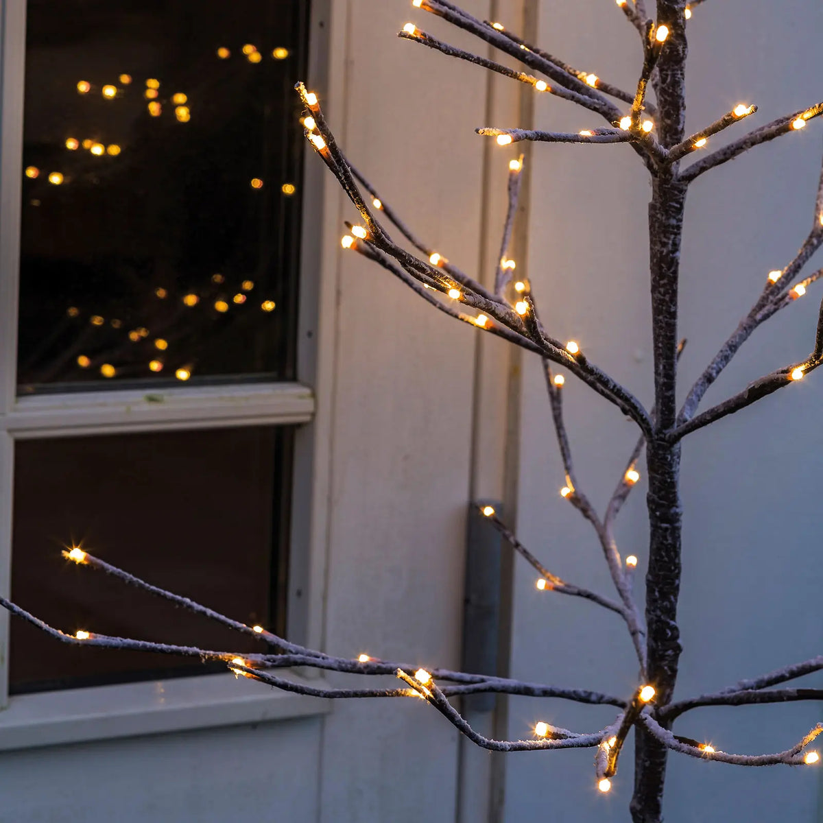 Alex Christmas LED Tree 80cm (Set of 2), view 5