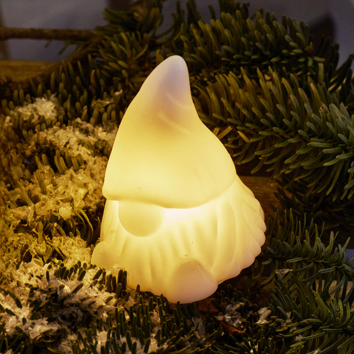 Coco Gnome LED Lamp