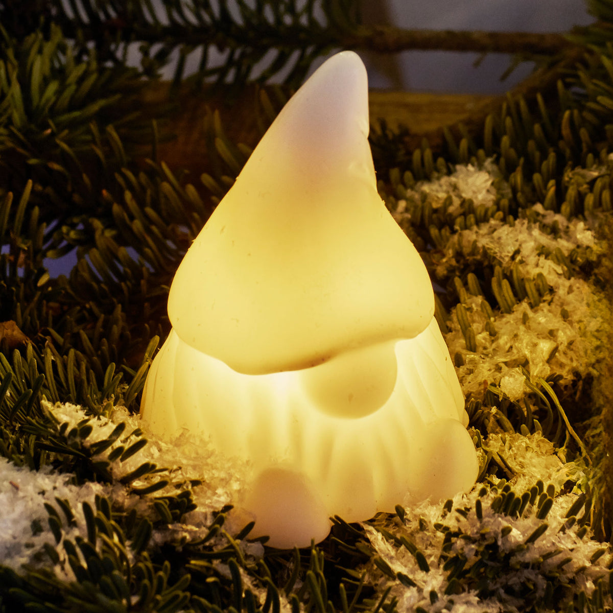 Coco Gnome LED Lamp