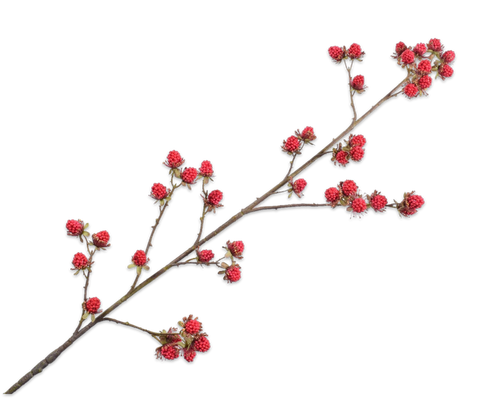 Silk-ka Artificial Blackberry Branch