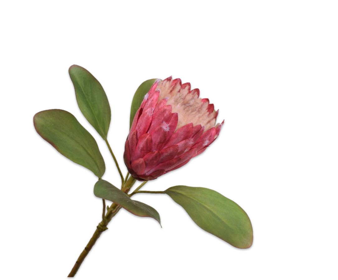 Silk-ka Protea Stem Pink 70 Cm