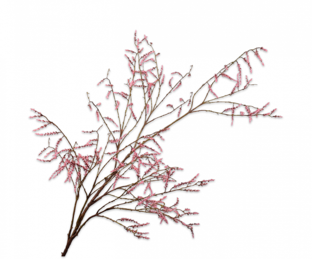 Silk-ka Artificial Willow Branch