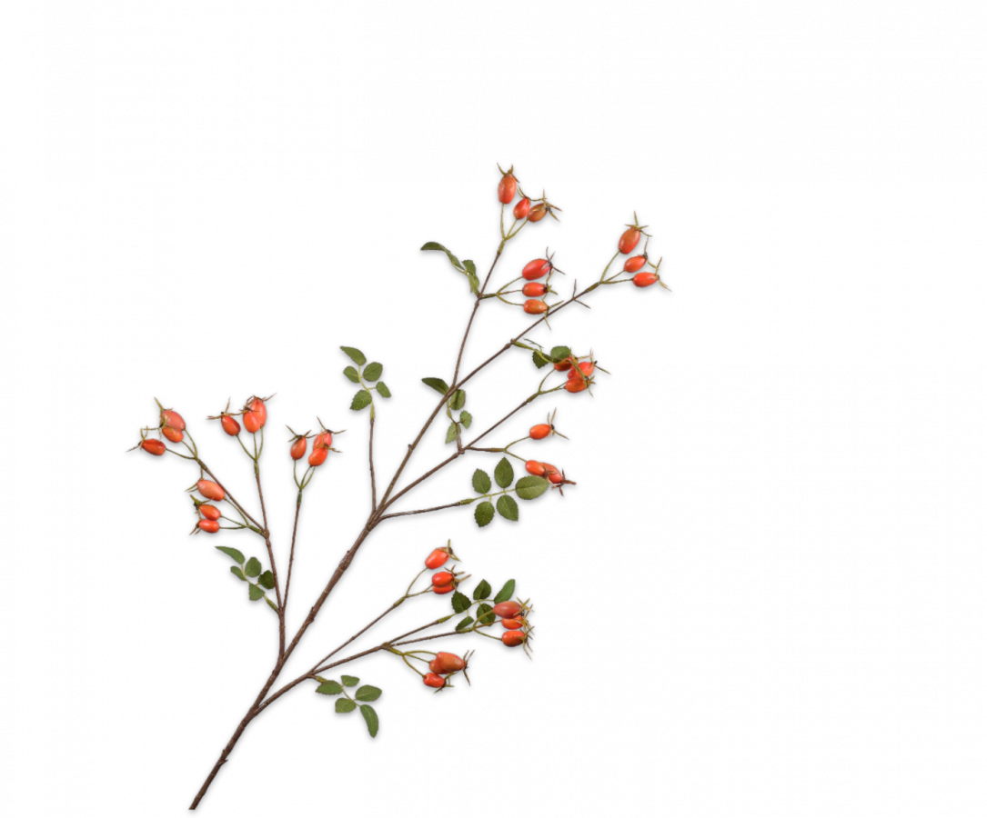 Silk-ka Artificial Rose Hip Flower