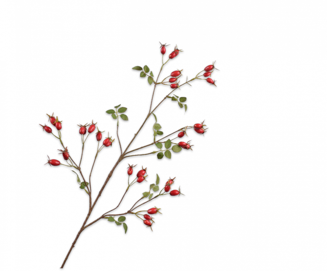 Silk-ka Artificial Rose Hip Flower