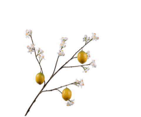 Silk-ka Artificial Lemon Flower
