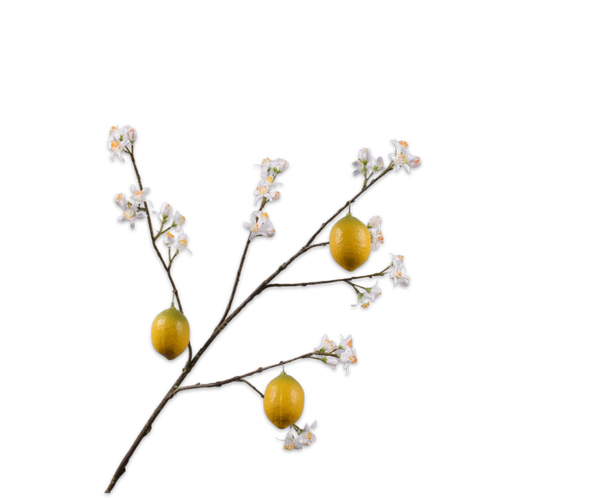 Silk-ka Artificial Lemon Flower