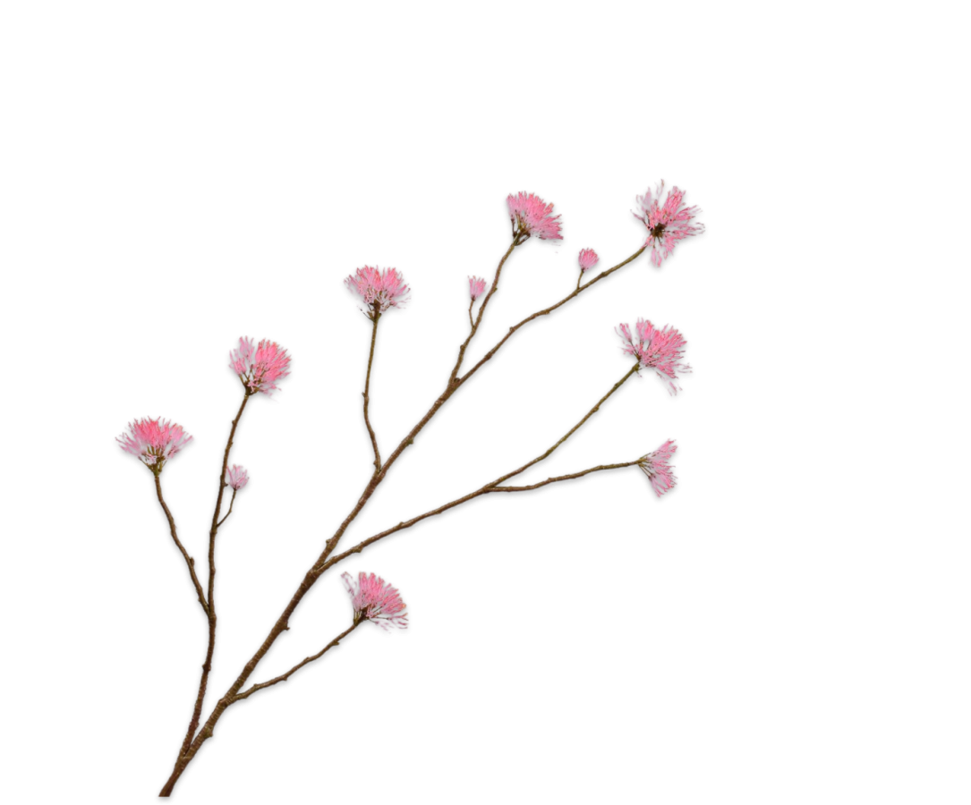 Silk-ka Blossom Spray Pink Lt 108 Cm