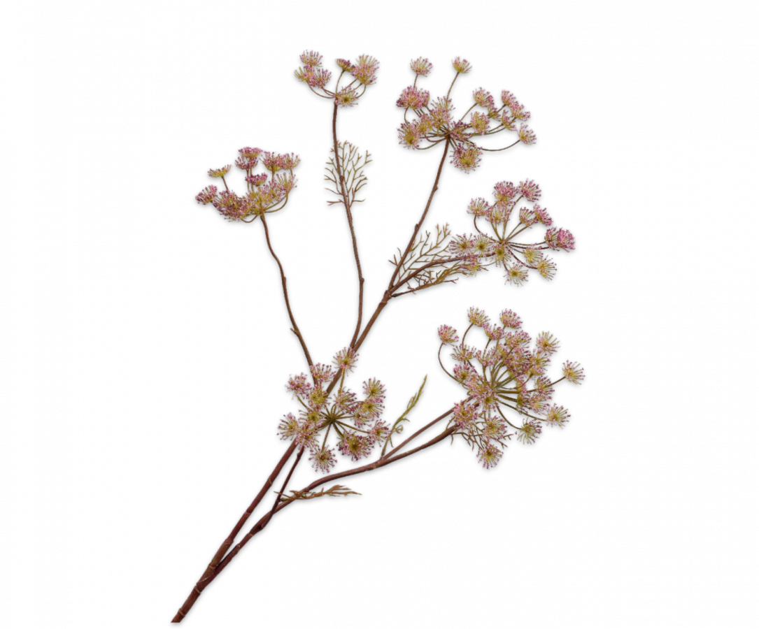 Silk-ka Artificial Queen An Lace