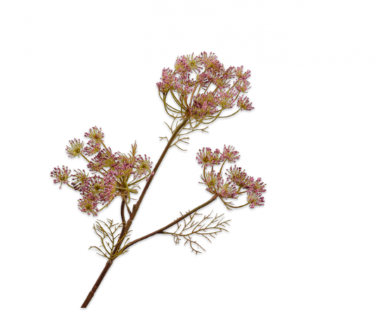 Silk-ka Artificial Queen An Lace