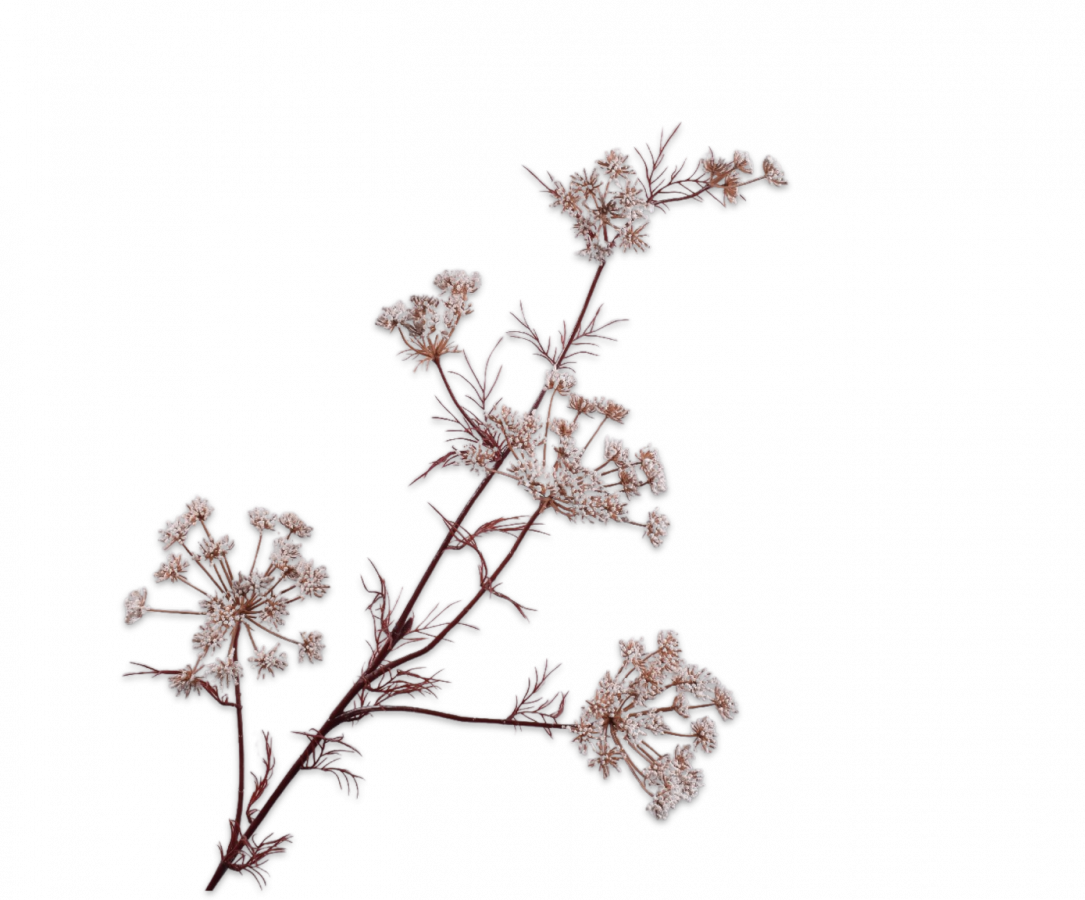 Silk-ka Artificial Queen An Lace, view 3