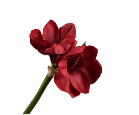 Silk-ka Artificial Amaryllis Stem 110 cm
