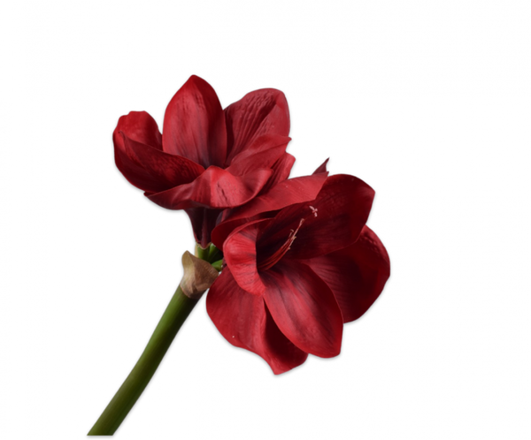 Silk-ka Artificial Amaryllis Stem 110 cm