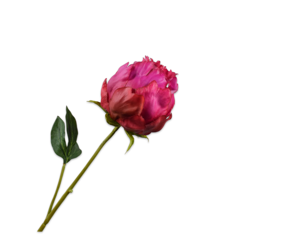 Silk-ka Peony Stem Beauty Rt 58 Cm