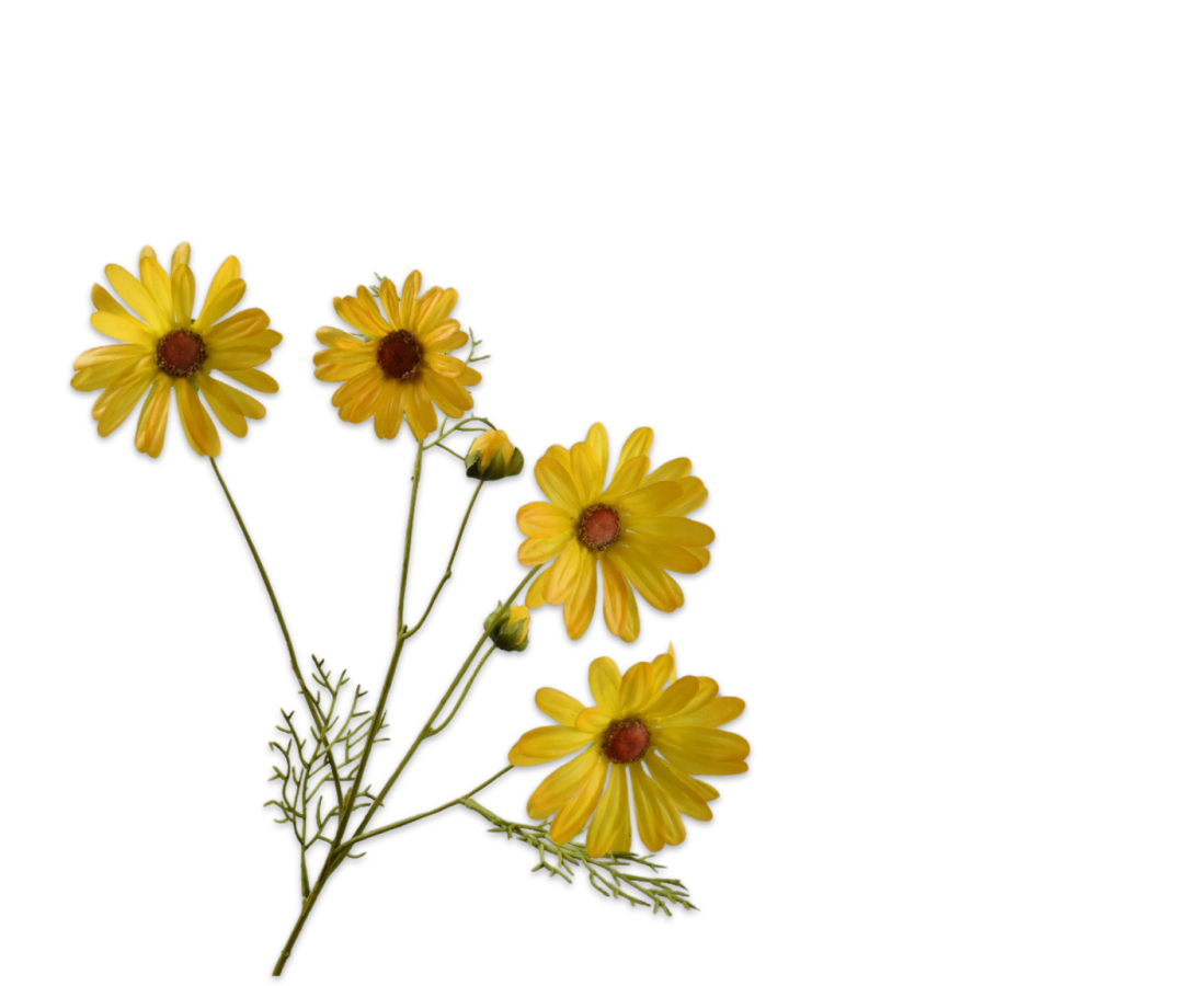 Silk-ka Daisy Spray Yellow Rt 60 Cm