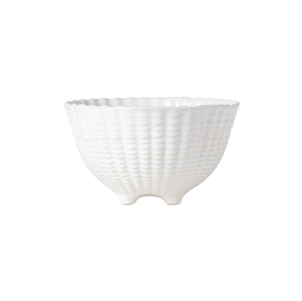 Aparte Shell Footed Bowl in White 20 cm