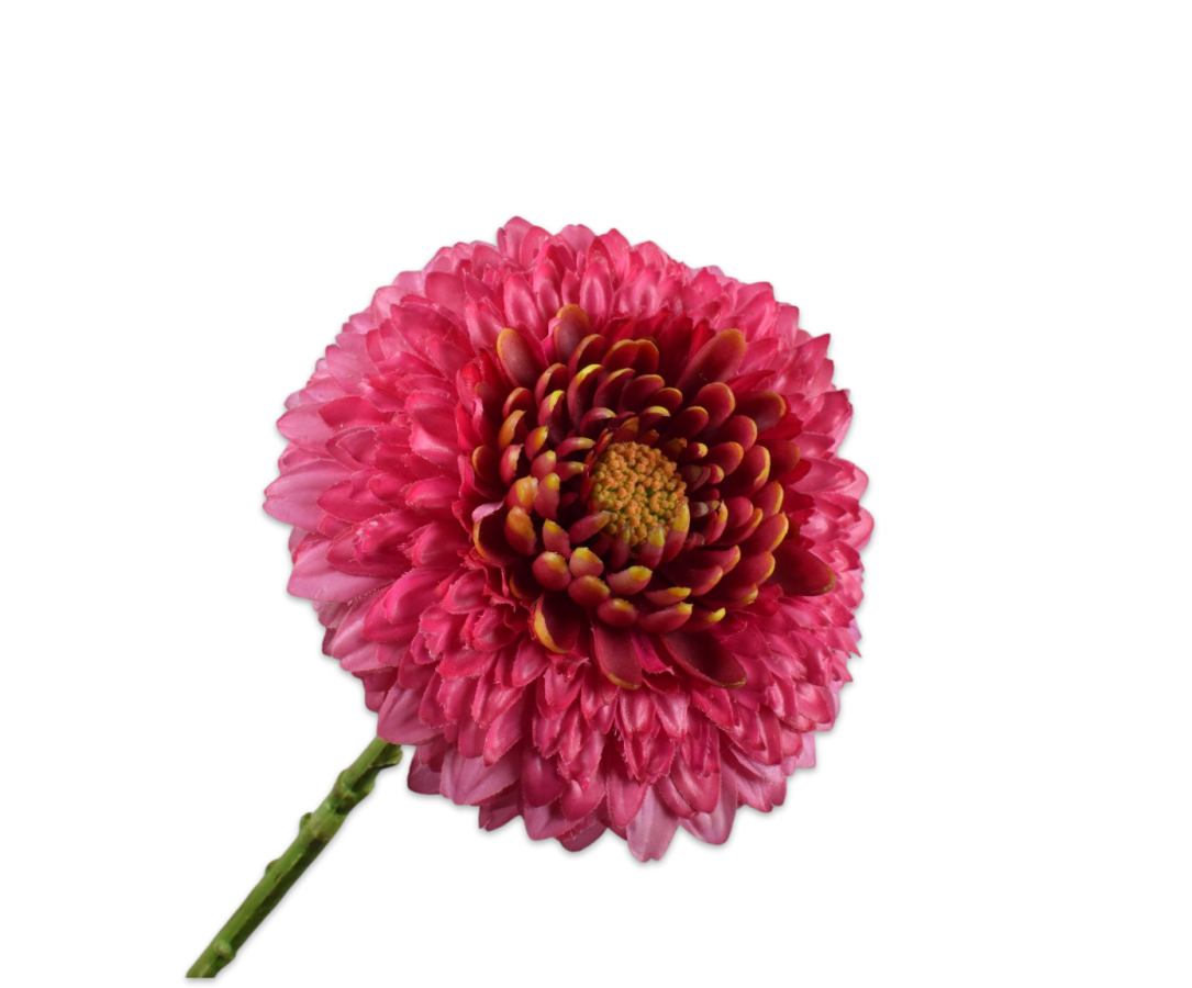 Silk-ka Gerbera Stem Rt 60 Cm