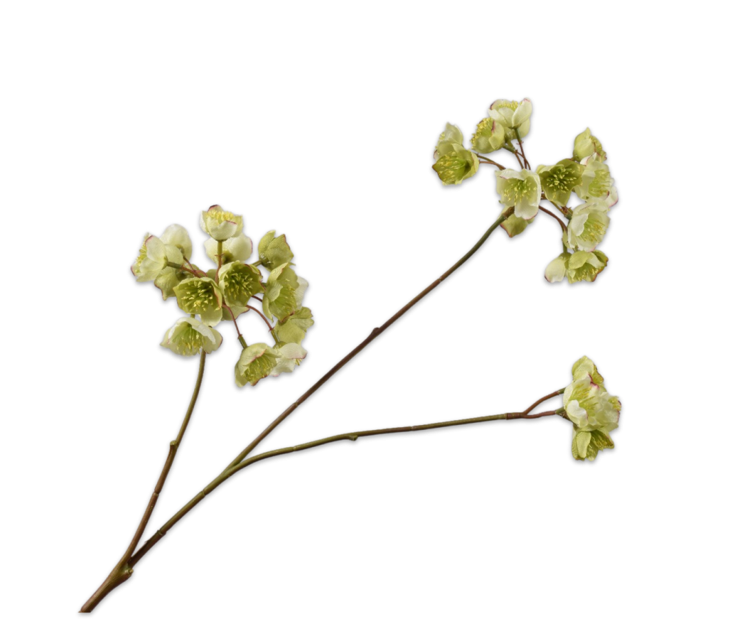 Silk-ka Helleborus Spray Grn Lt 70 Cm