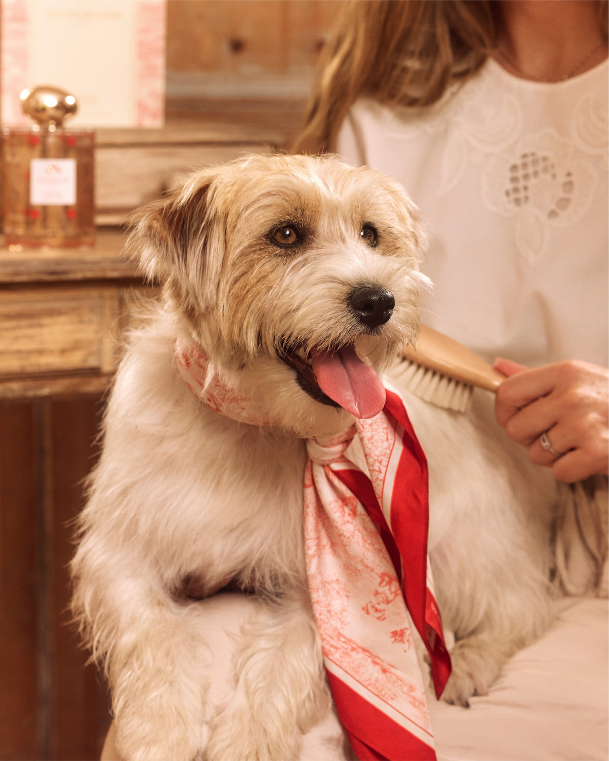 Nichebloom Dog Island Bandana