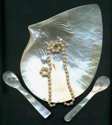 Edzard - Mother of Pearl Egg Spoon (Length 11 cm)