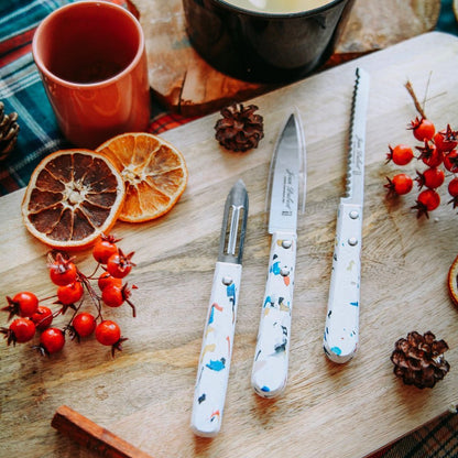 Laguiole Jean Dubost Sense Kitchen Knife Set in Kraft Box