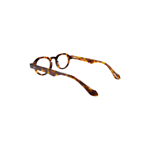 Frank and Lucie Eyeball Turtle Shade