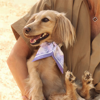 Nichebloom Pet Silk Twill Ribbon