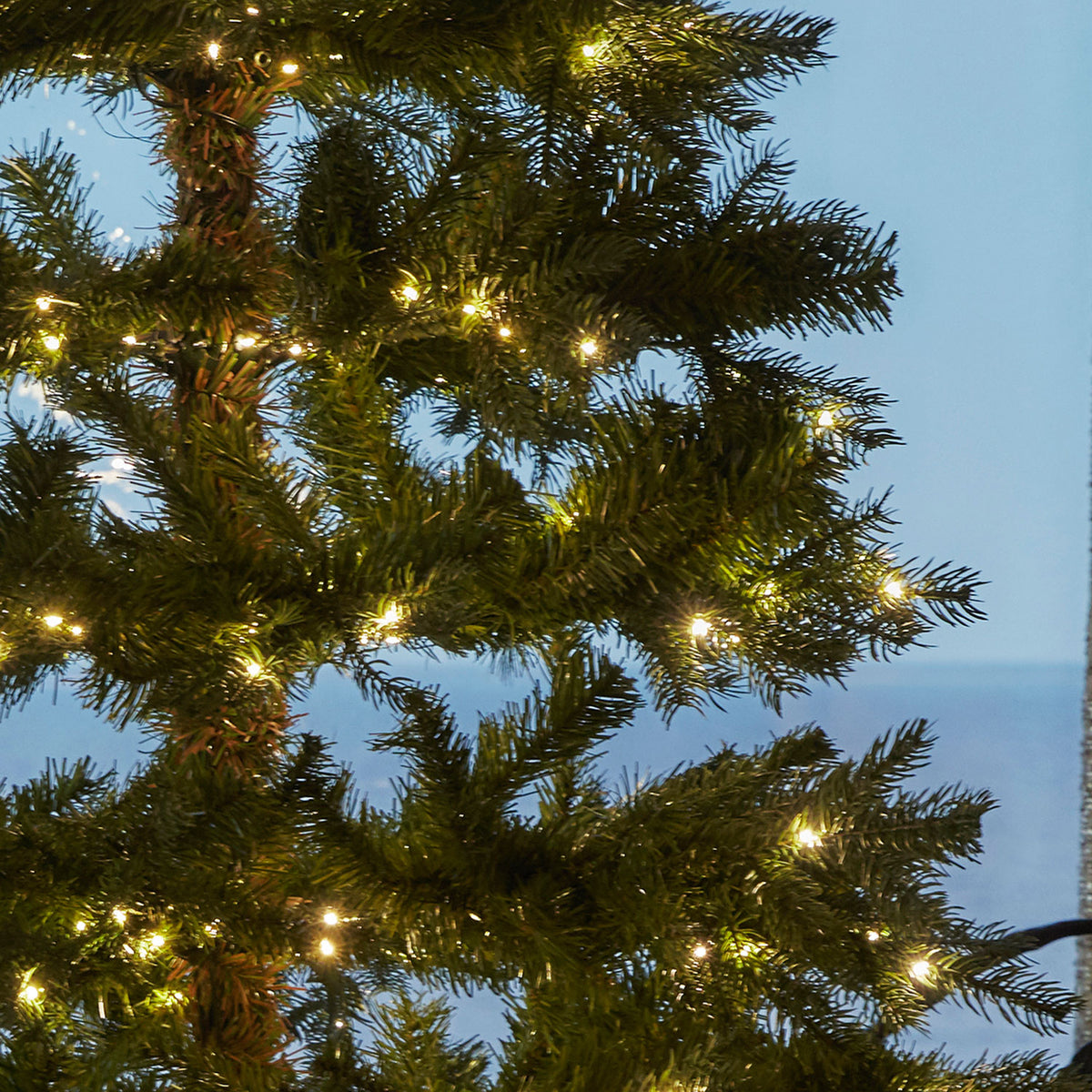 Eric Christmas Tree with warm white LED lights