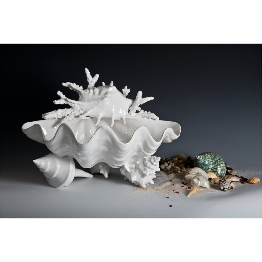 Composition with Tridacna and Sea Decor 46x32cm