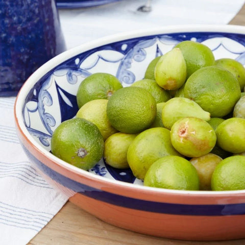 Casafina Alentejo Terracota Round Centerpiece Platter 42cm