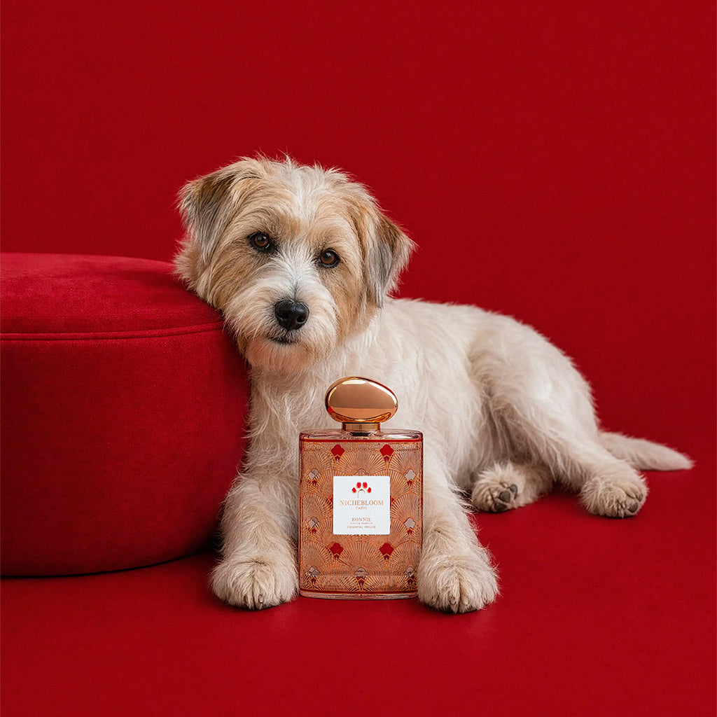 Nichebloom Pet Perfume Signature Gift Set 120ml - Bonnie