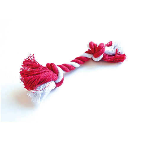 Caspari Dog Christmas Teepee Pet Favour