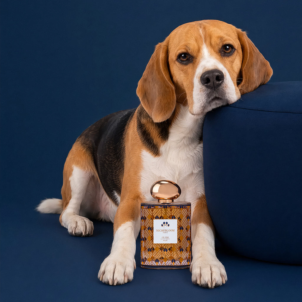 Nichebloom Pet Perfume Signature Gift Set 120ml - Clyde
