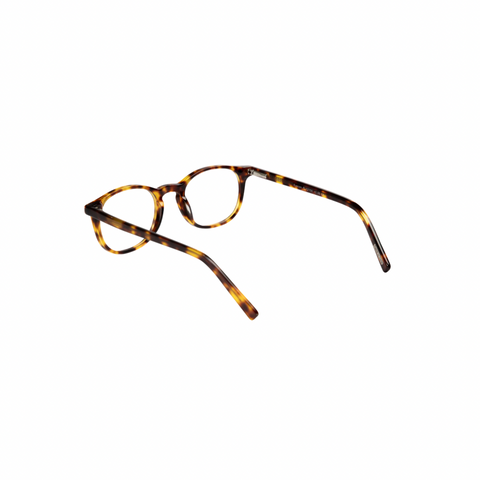 Frank and Lucie Eyecon Turtle Shade