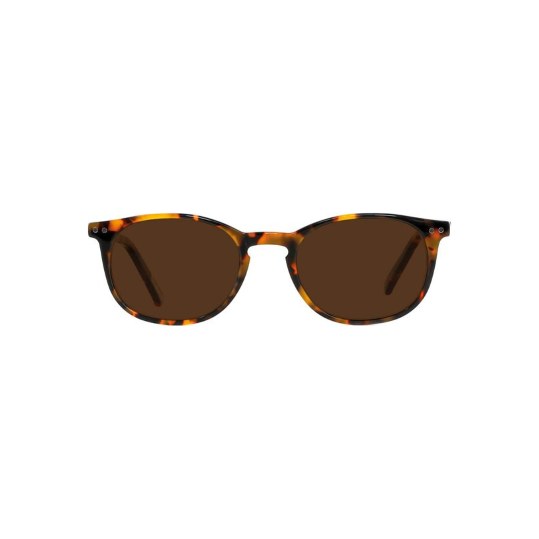 Frank and Lucie Eyecon Sun Havanna sun reading glasses