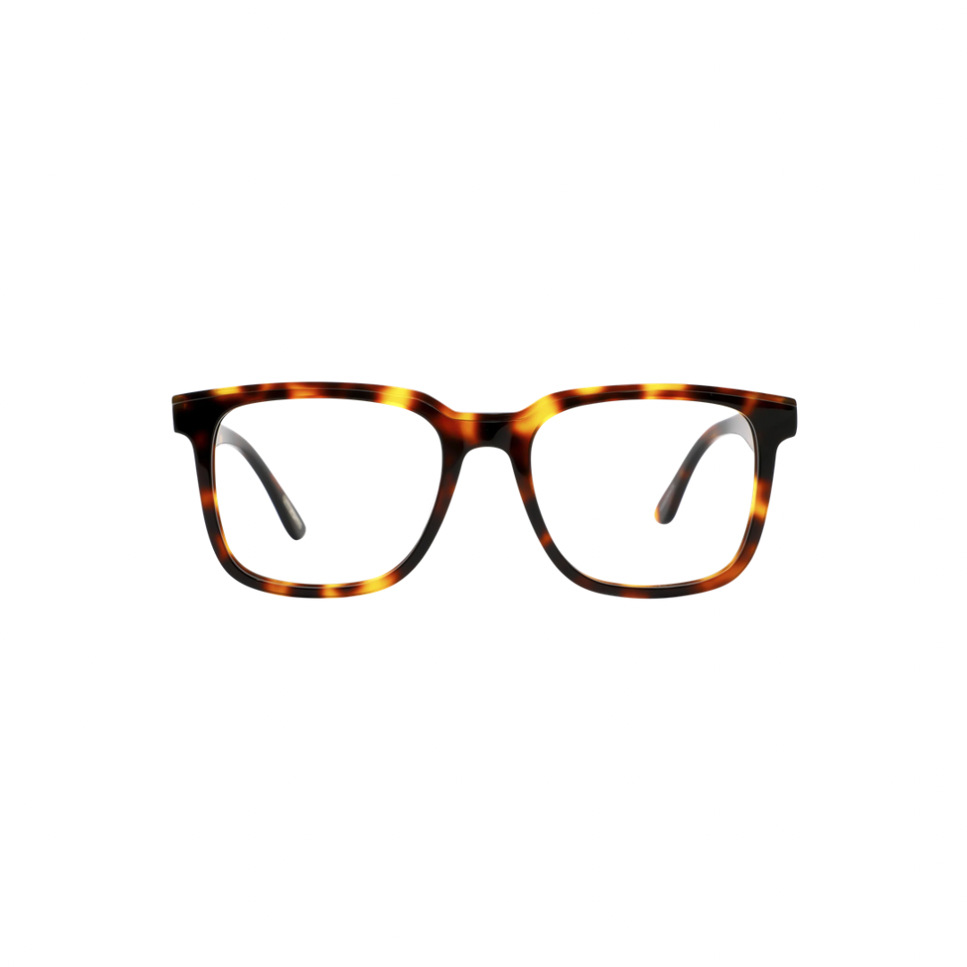 Frank and Lucie Eyewant Turtle Shade