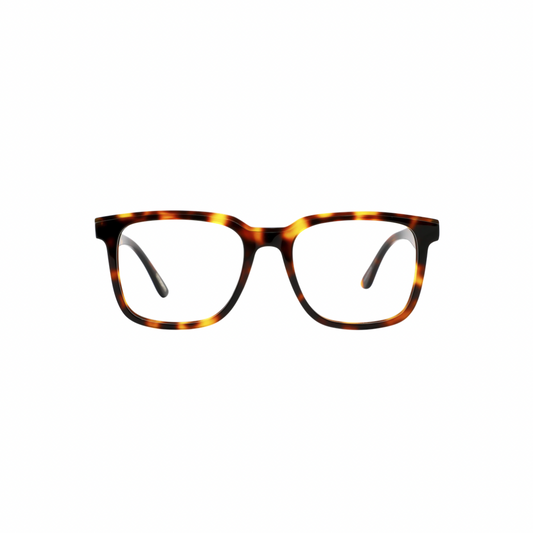 Frank and Lucie Eyewant Turtle Shade