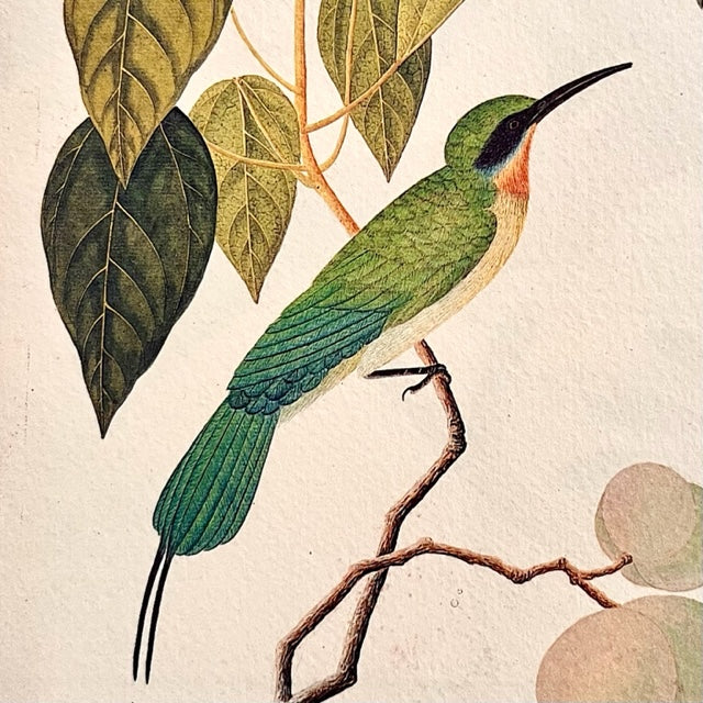 ShiokFarm Bird Mugs