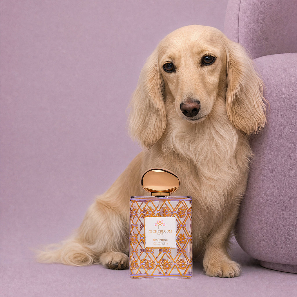 Nichebloom Pet Perfume Signature Gift Set 120ml - Josephine