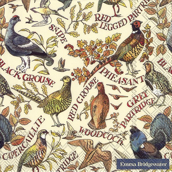 Lunch Napkin Game Birds