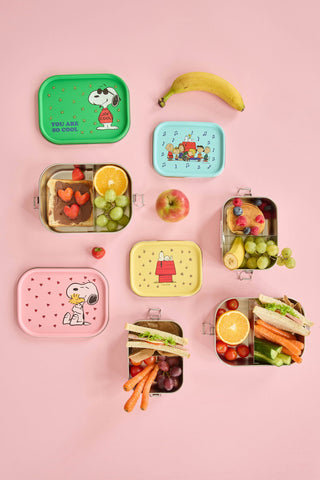Rice Snoopy Print Stainless Steel Small Lunch box 800ml
