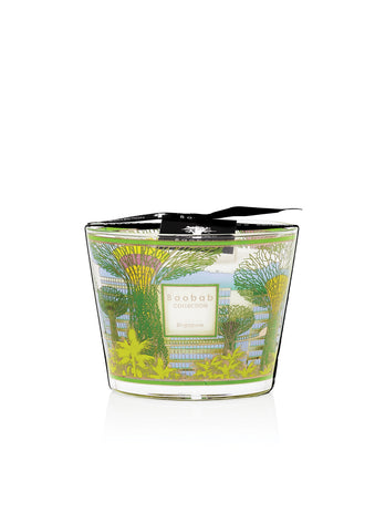 Baobab Cities Scented Candle