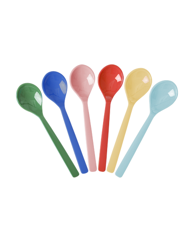 Rice Teaspoons (Assorted Colours) (Set of 6)